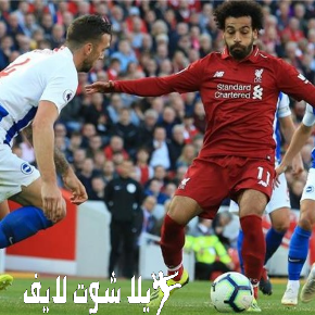 ما هو موعد مباراة ليفربول أمام نظيره برايتون ؟ | كورة لايف – ekoora live