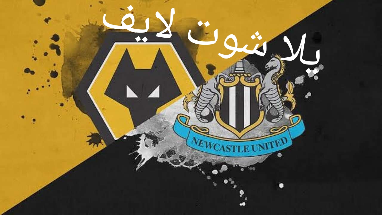 موعد مباراة نيوكاسل يونايتد أمام وولفرهامبتون | كورة لايف – ekoora live